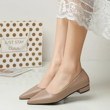 Sapatos de Couro Bico Fino